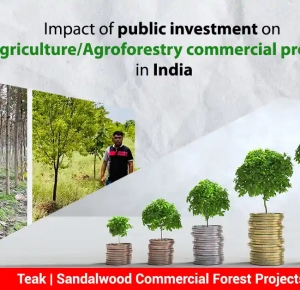 Impact of public investment on agriculture/agroforestry commercial sector in India