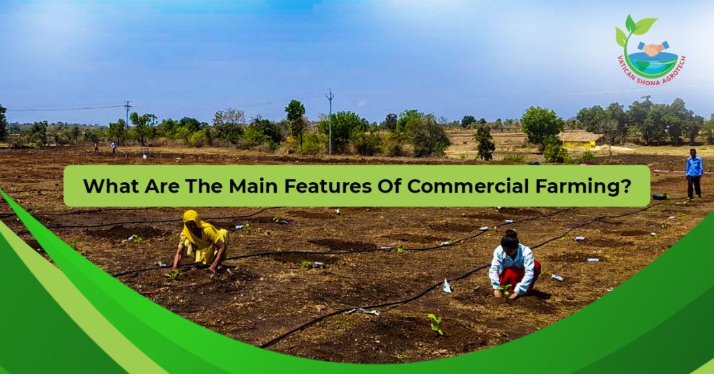 What are the main features of commercial farming?